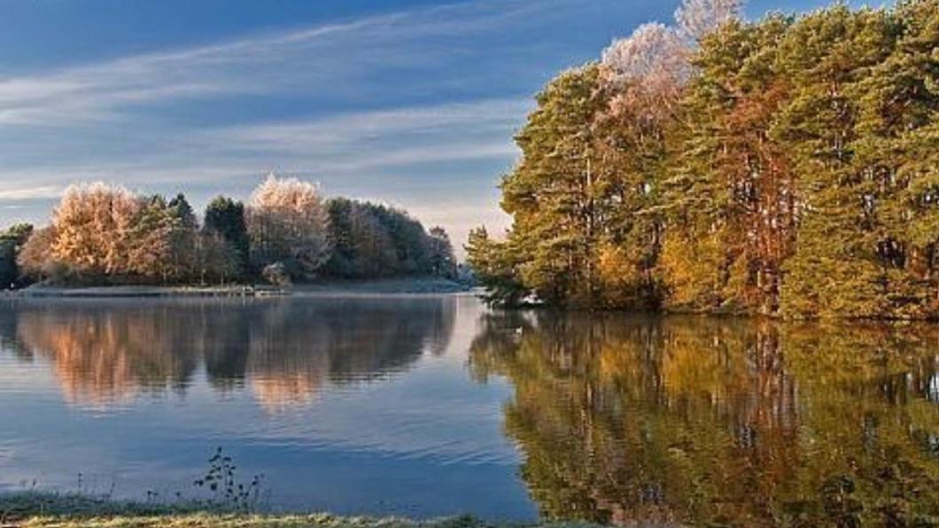 Tranquil Accommodation In A Great Location. Ланарк Екстер'єр фото
